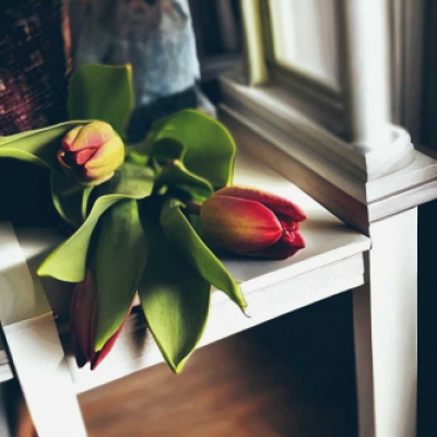 27. Monika S.: Miluji tulipány